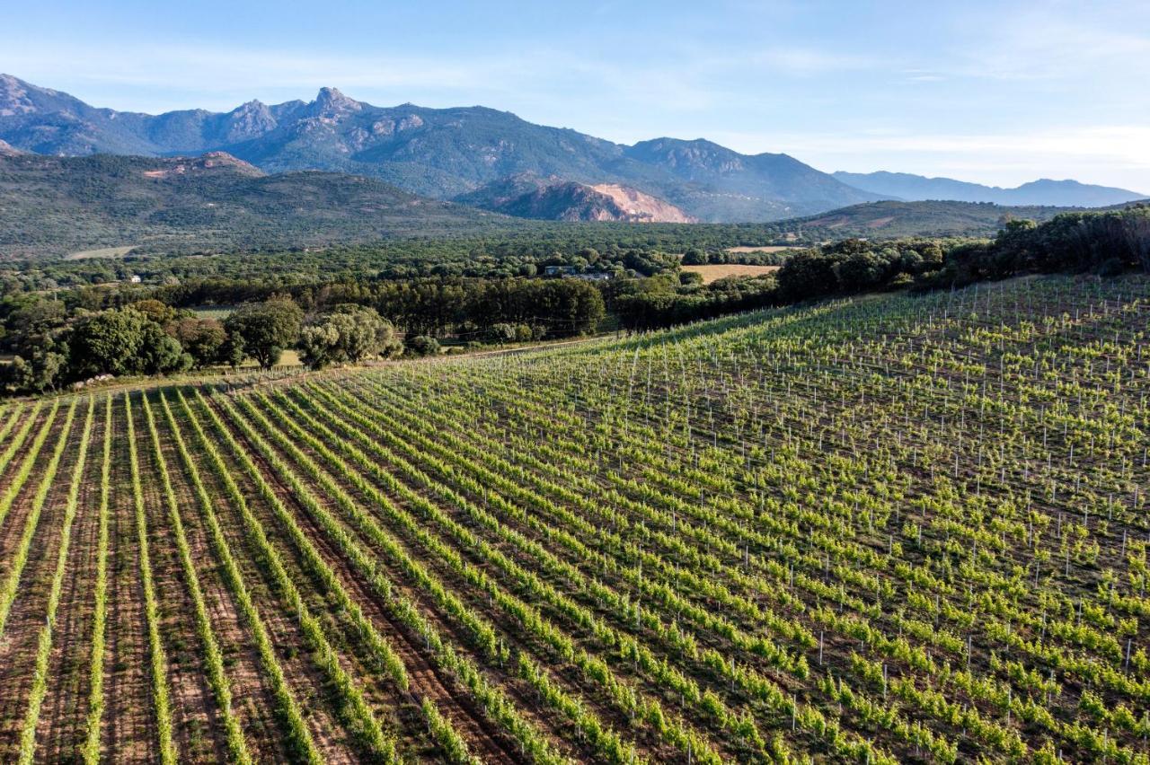 Domaine De Peretti Della Rocca Hotel Figari  Luaran gambar